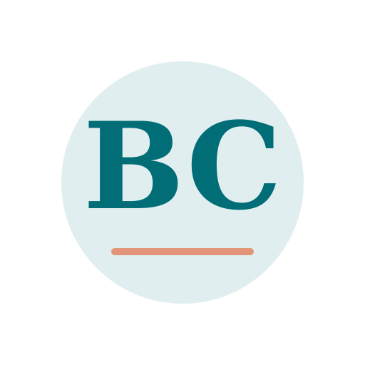 Bono Chimney Services logo